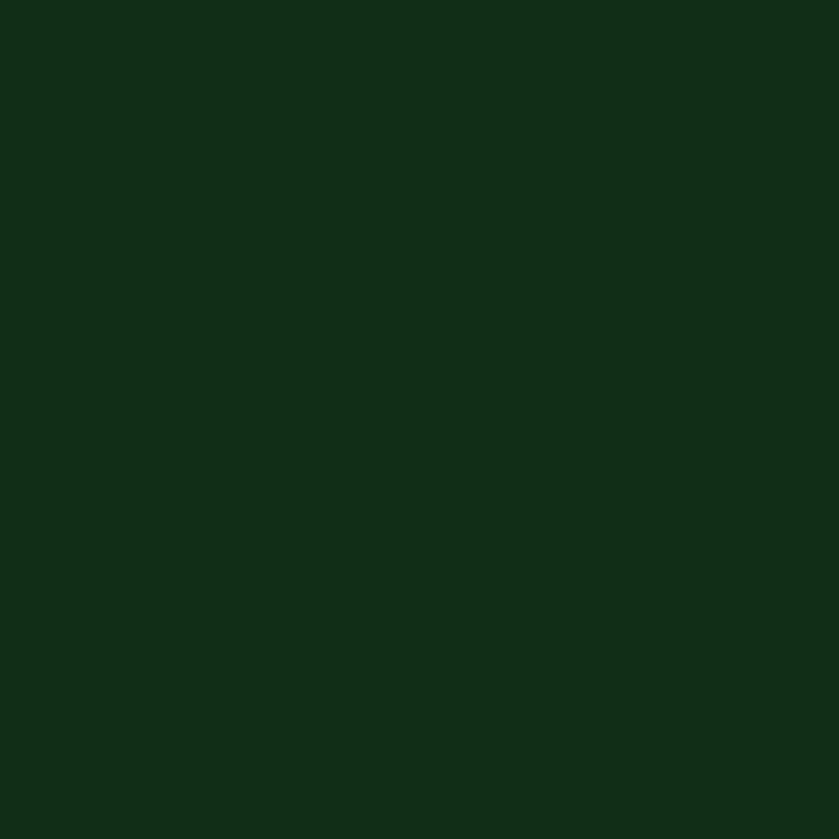 Blazing Needles Renewal 9" Twill Futon Mattress, Full, Forest Green