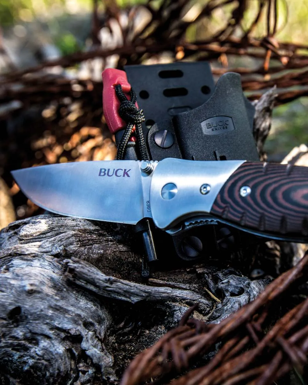 Buck Folding Selkirk Knife