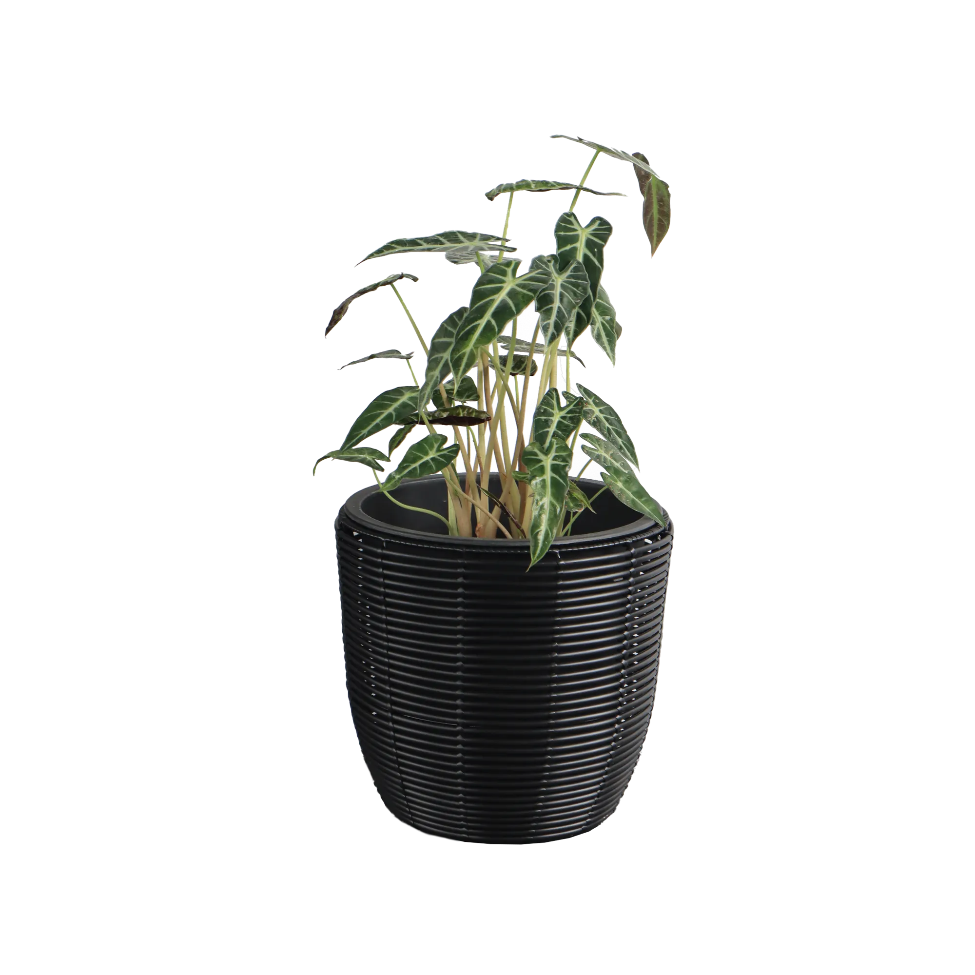 Eden Grace Set of 3 Hand Woven Round Wicker Planters - Made with Eco-Friendly Resin - Comes with Polyethylene Pot inside