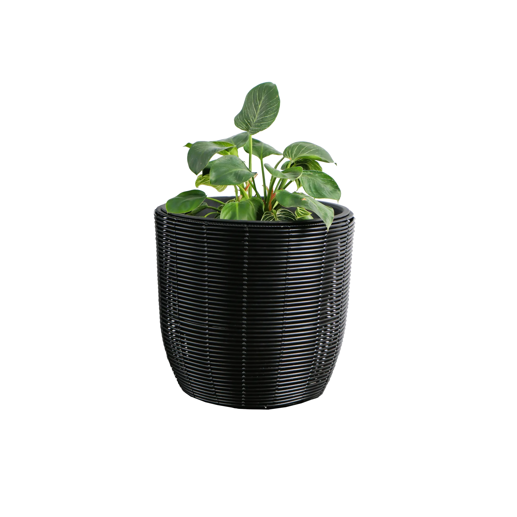 Eden Grace Set of 3 Hand Woven Round Wicker Planters - Made with Eco-Friendly Resin - Comes with Polyethylene Pot inside