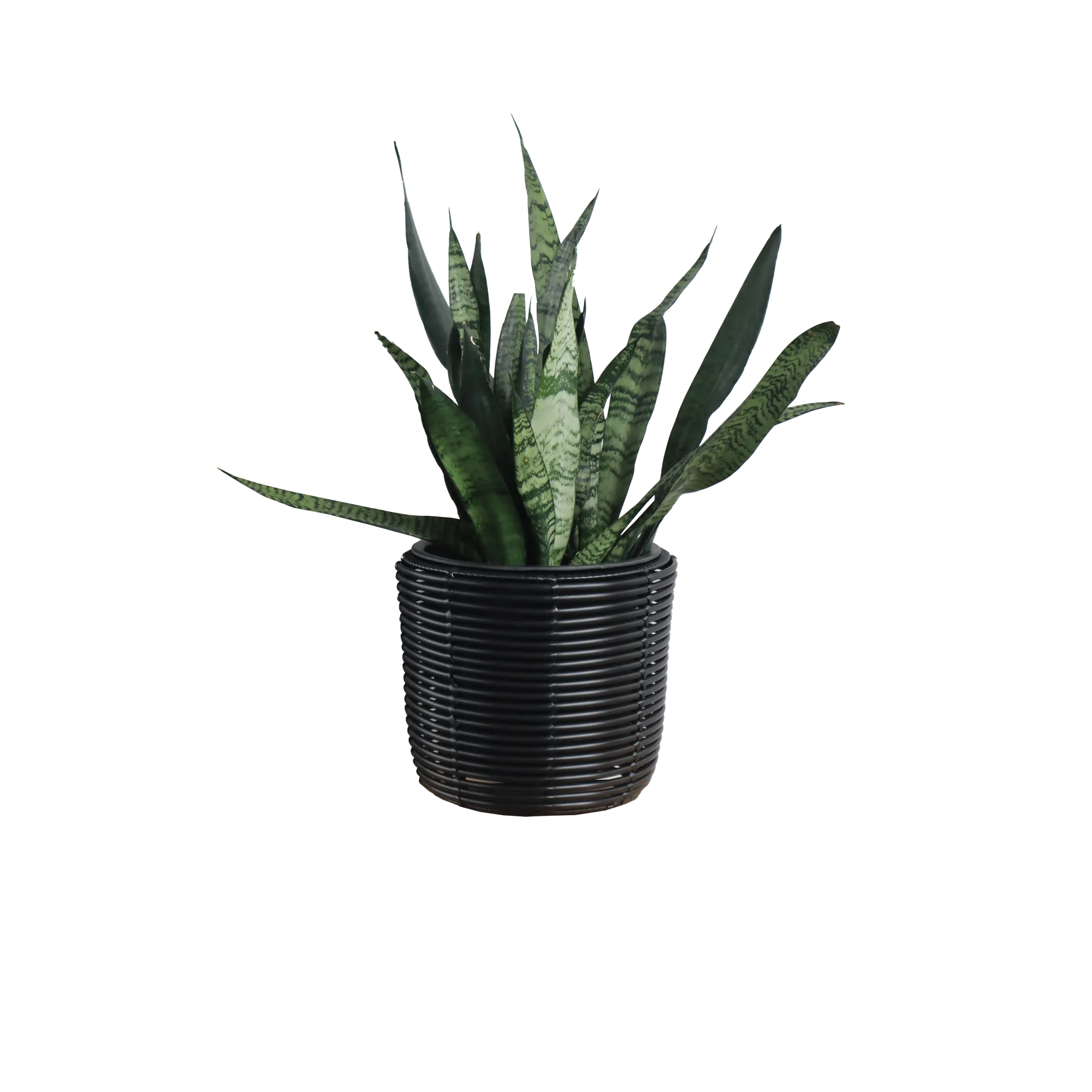 Eden Grace Set of 3 Hand Woven Round Wicker Planters - Made with Eco-Friendly Resin - Comes with Polyethylene Pot inside