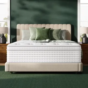 FP FLEXPEDIC Queen Mattress, 14 Inch Luxury Hybrid Mattresses, Fiberglass-Free Memory Foam Mattress in a Box, Individual Pocket Spring-Motion Isolation-Extra Edge Support,365 Nights Trial,CertiPUR-US