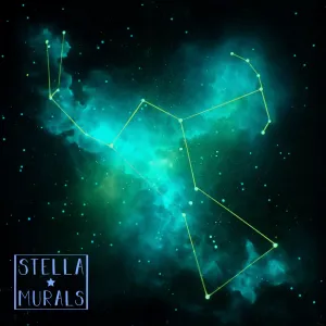 Glow in the Dark Constellation Nebula - Choose your own constellation/s
