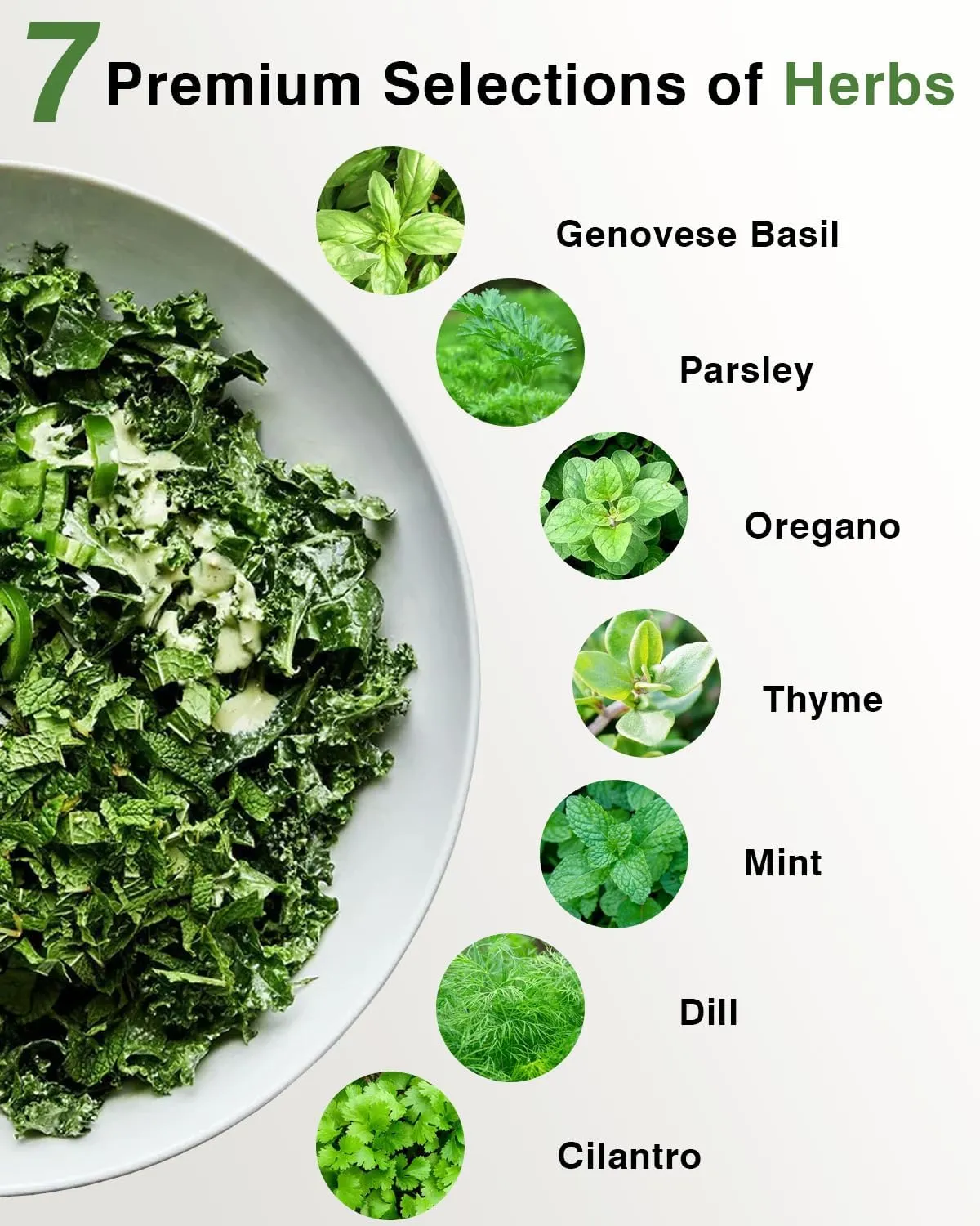 Gourmet Herb Seed Pod Kit for AeroGarden, idoo, Ahopegarden, MUFGA with Basil, Parsley, Thyme, Mint, Cilantro, Dill, Oregano - Compatible with All Hydroponics (7-Pod)