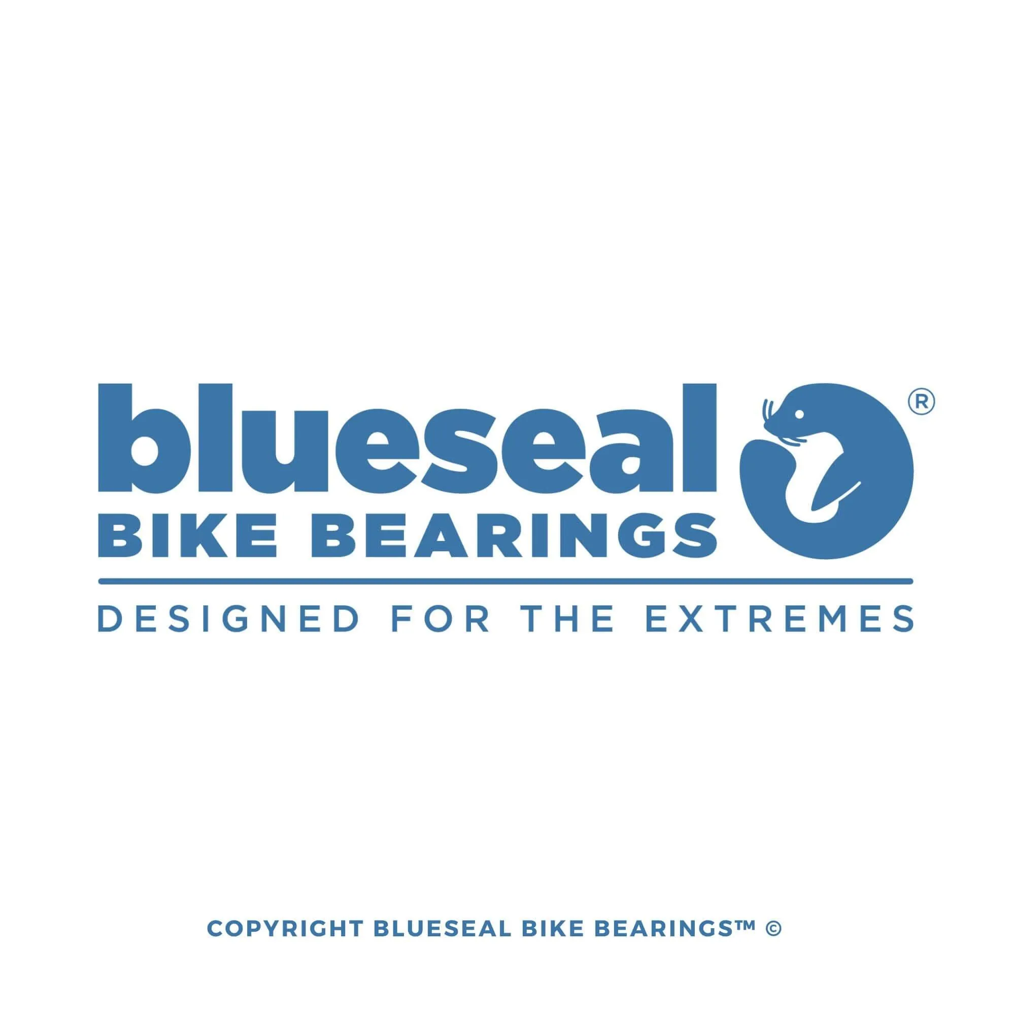 Hope RS4 Hub Bearing Kit | Blueseal Bike Bearings™