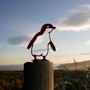 Kororā / Little Penguin