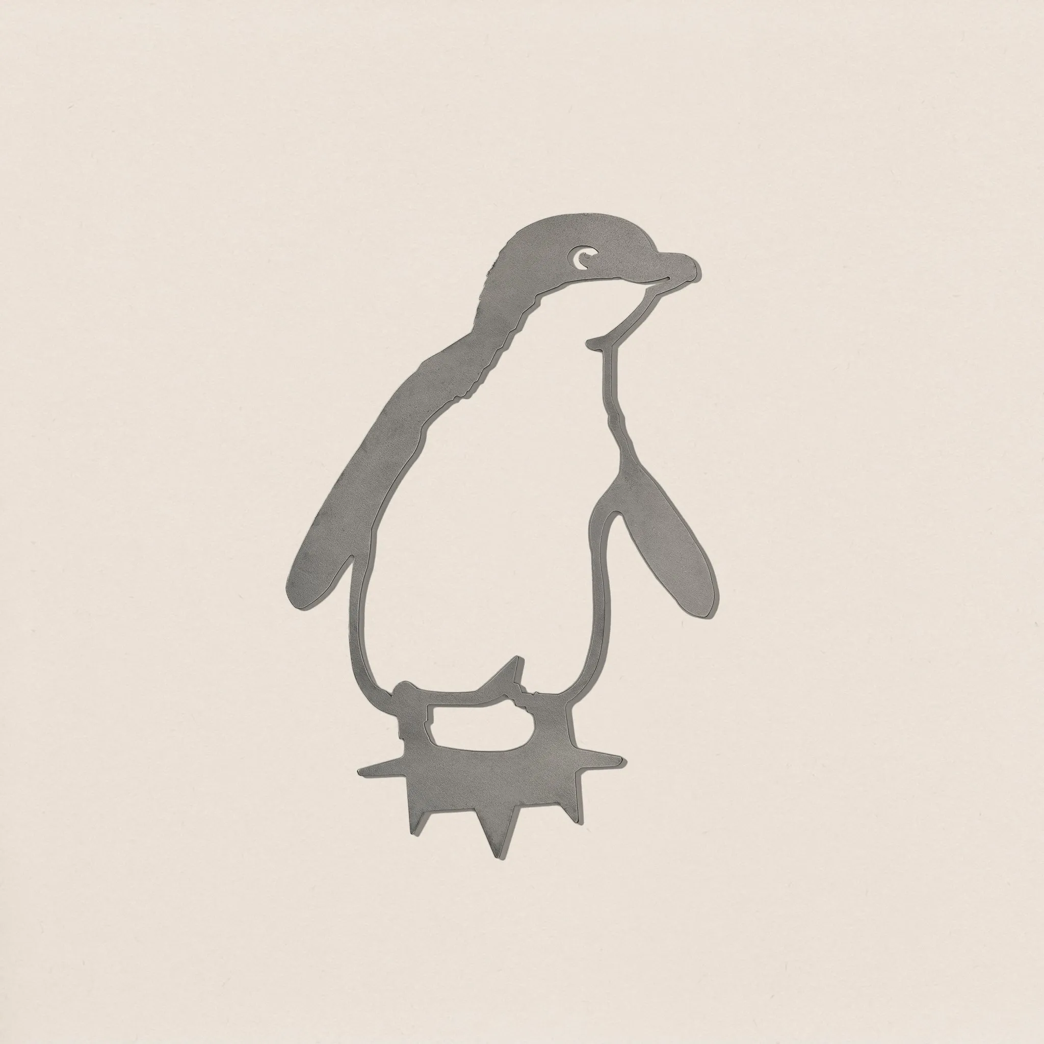Kororā / Little Penguin