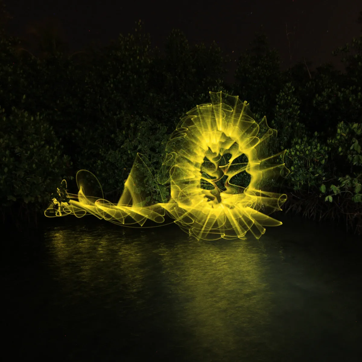 Light Painting Brushes Starter Kit