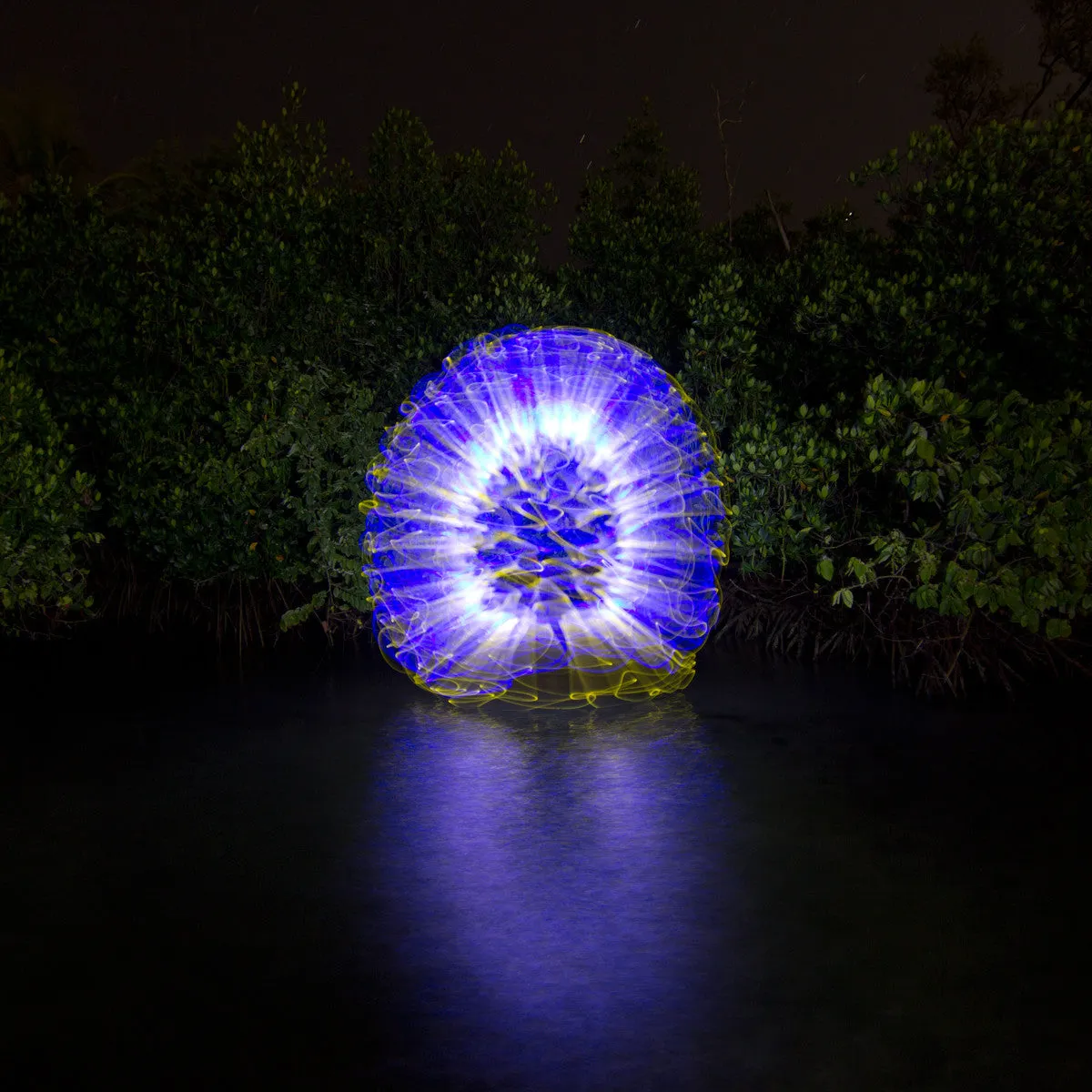 Light Painting Brushes Starter Kit