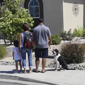 Pet Emergency Kit for Big Dogs