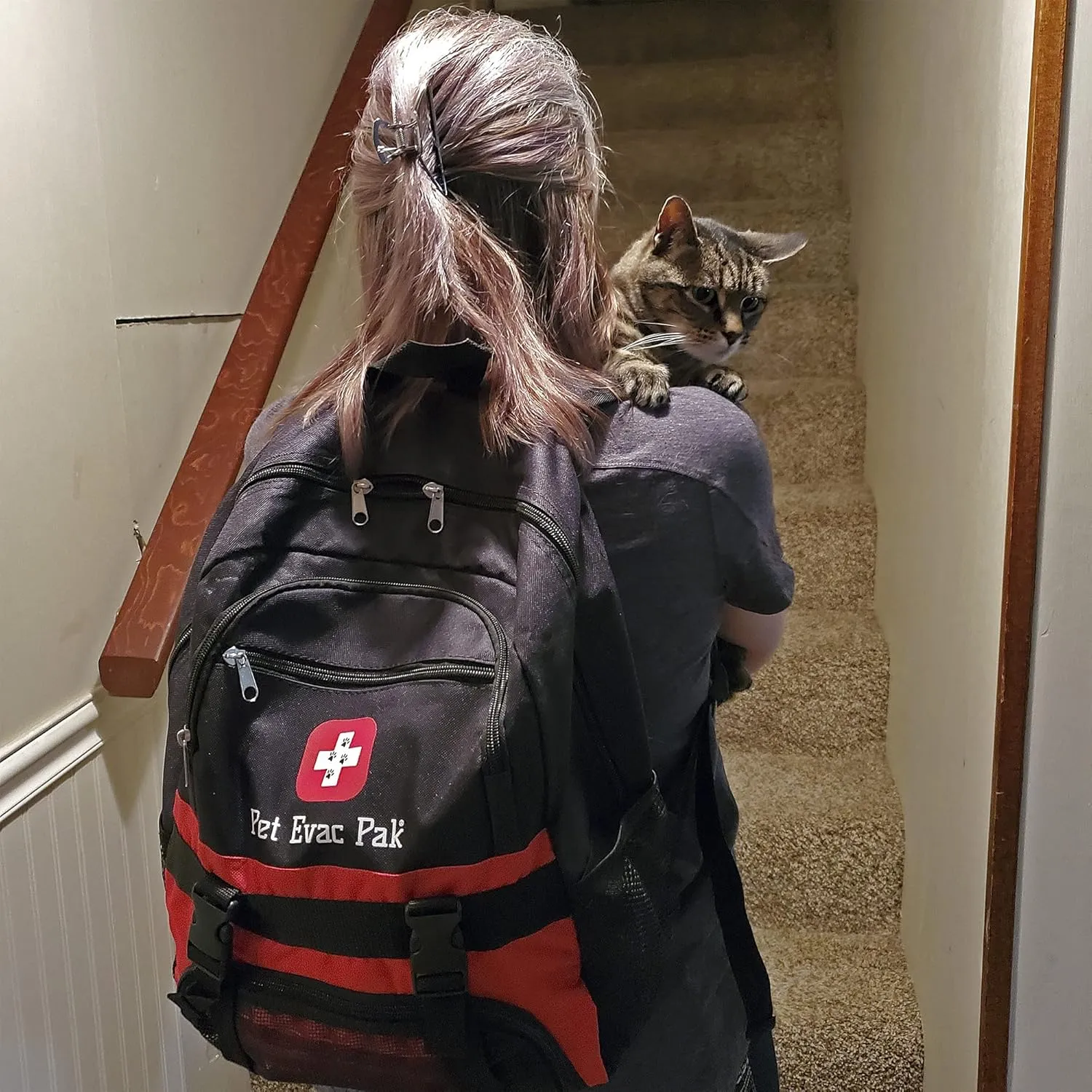 Pet Emergency Kit for Cats - Backpack