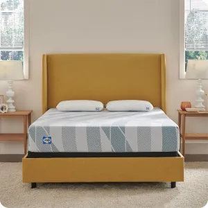 Sealy Dreamlife 10” Hybrid Mattress-in-a-Box, Twin, SealyComfort Gel Memory Foam, SealyResponsive Encased Coils, Surface-Guard Technology