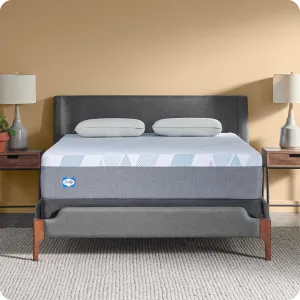 Sealy Dreamlife 12" Foam Mattress-in-a-Box, Queen, SealyComfort Gel Memory Foam, SealySupport Transition Foam, Surface-Guard Technology