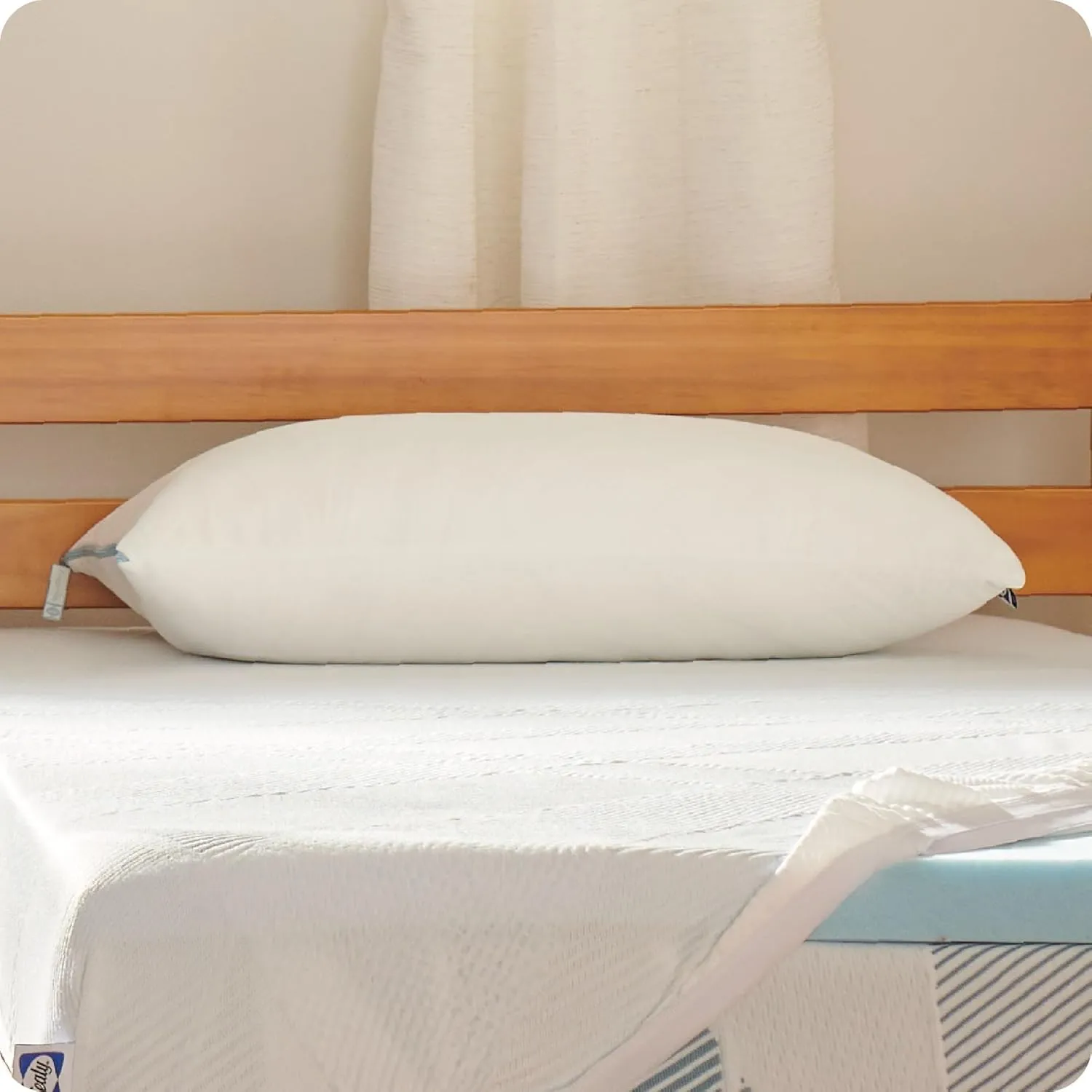 SEALY Dreamlife Queen Size Shredded Foam Pillow with Surface Guard Technology, Removable Machine-Washable Cover, 1 Year Limited Warranty, White