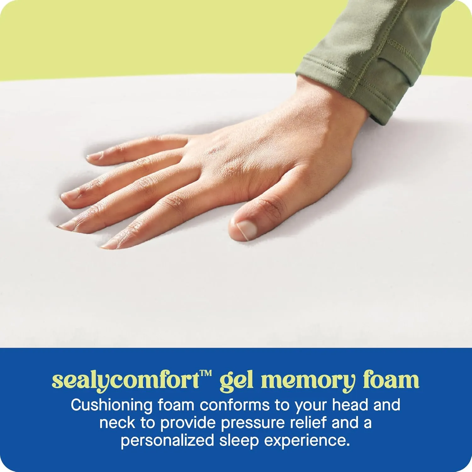SEALY Dreamlife Queen Size Shredded Foam Pillow with Surface Guard Technology, Removable Machine-Washable Cover, 1 Year Limited Warranty, White