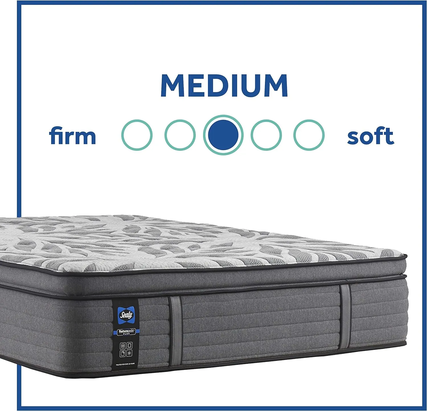 Sealy Posturepedic Plus, Euro Pillow Top 14-Inch Medium,Memory Foam Mattress with Surface-Guard - Queen