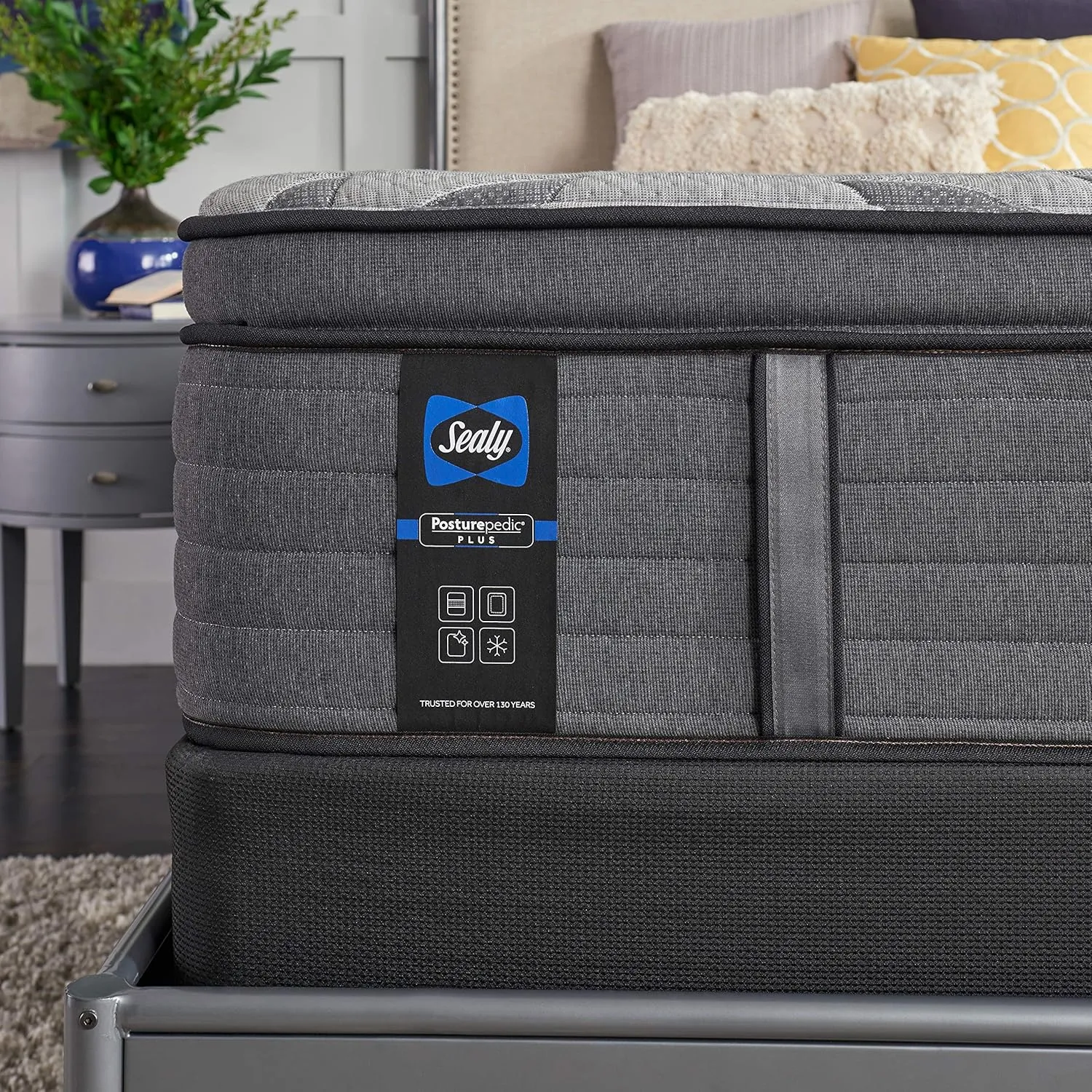 Sealy Posturepedic Plus, Euro Pillow Top 14-Inch Medium,Memory Foam Mattress with Surface-Guard - Queen