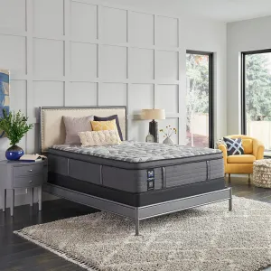 Sealy Posturepedic Plus, Euro Pillow Top 14-Inch Medium,Memory Foam Mattress with Surface-Guard - Queen
