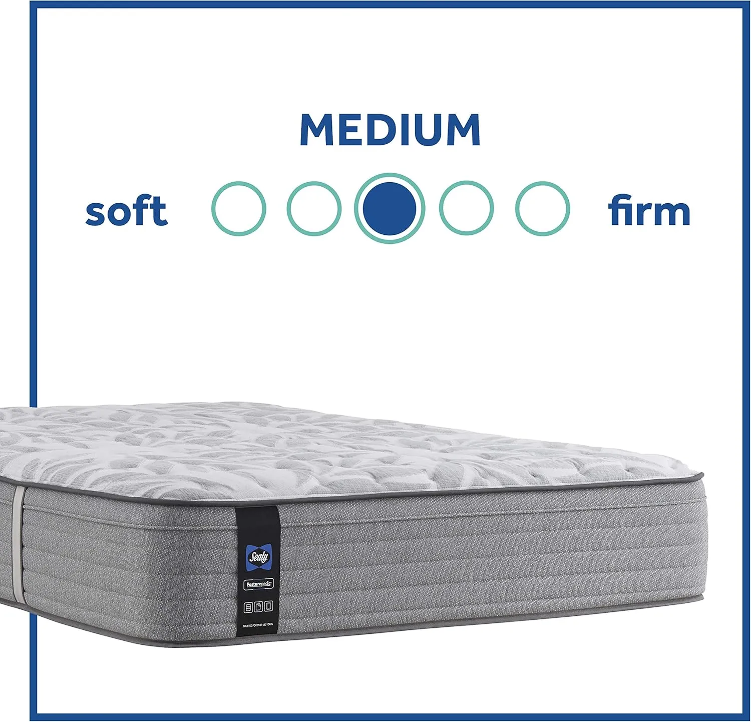 Sealy Posturepedic Spring Silver Pine Faux Eurotop Medium Feel Mattress, Queen