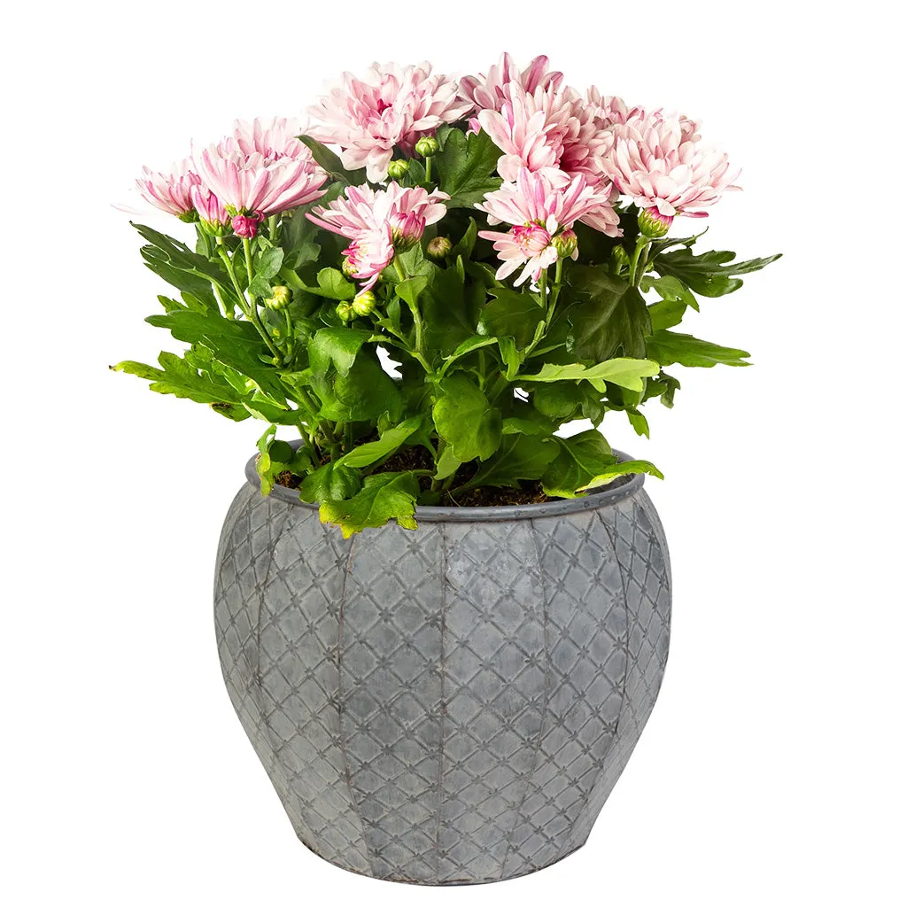 Set of 3 Textured Metal Planter Tubs
