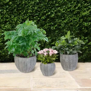 Set of 3 Textured Metal Planter Tubs