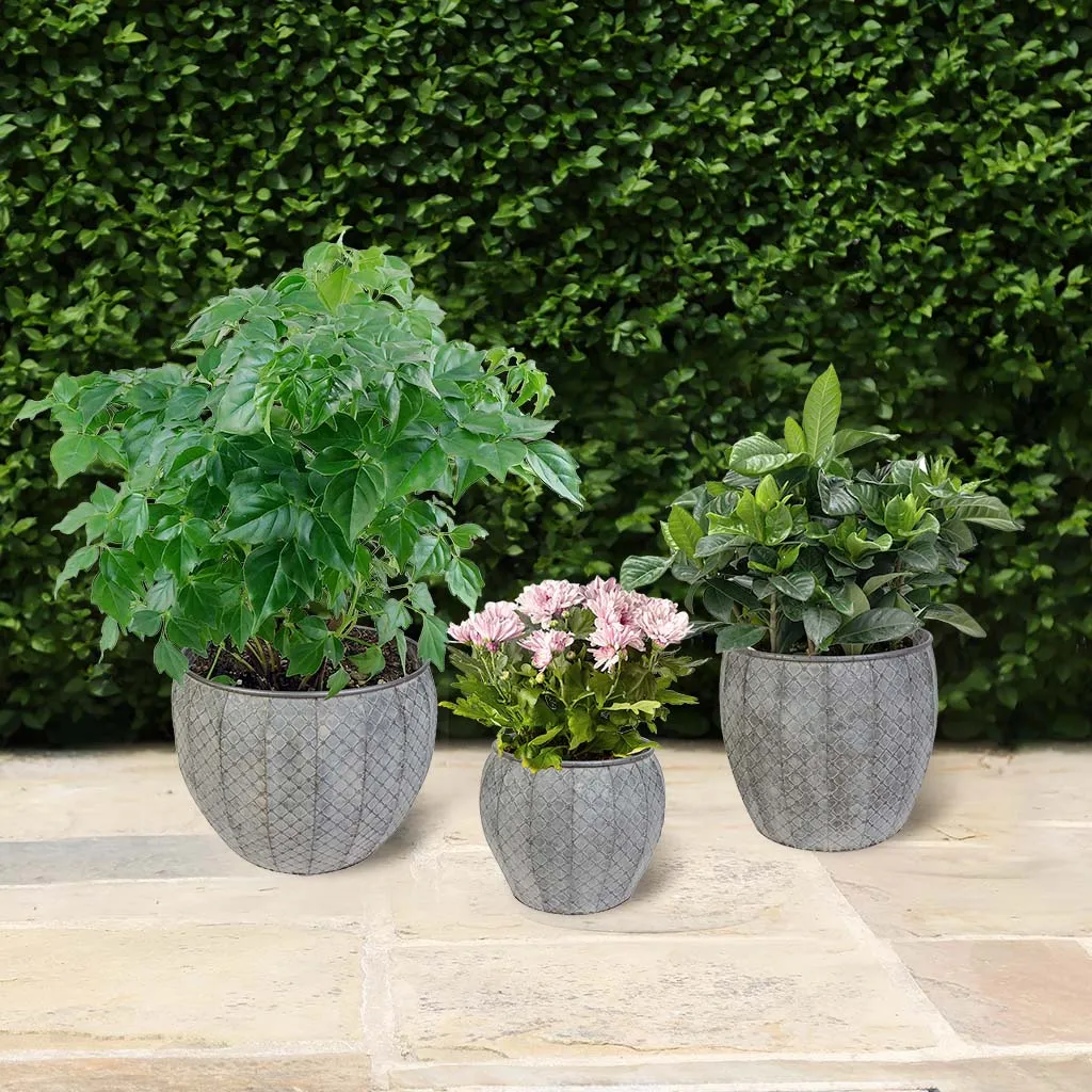 Set of 3 Textured Metal Planter Tubs