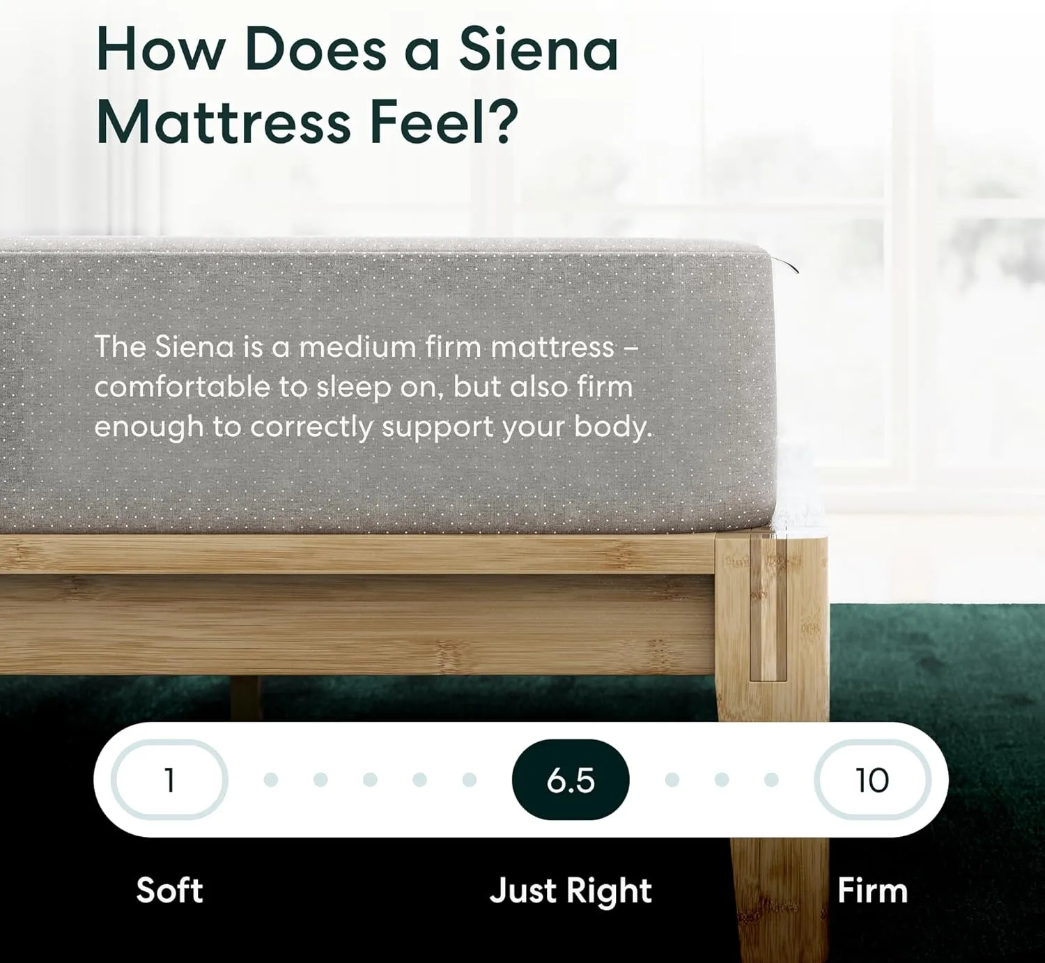 Siena 8” Twin Mattress - Gel Memory Foam - Medium Firm - 180 Night Trial - Premium Pressure-Relieving Layers - 10 Year Manufacturer Warranty - CertiPUR-US® Certified