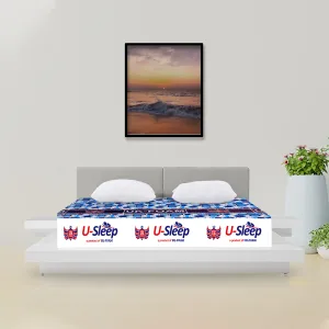 U-sleep
