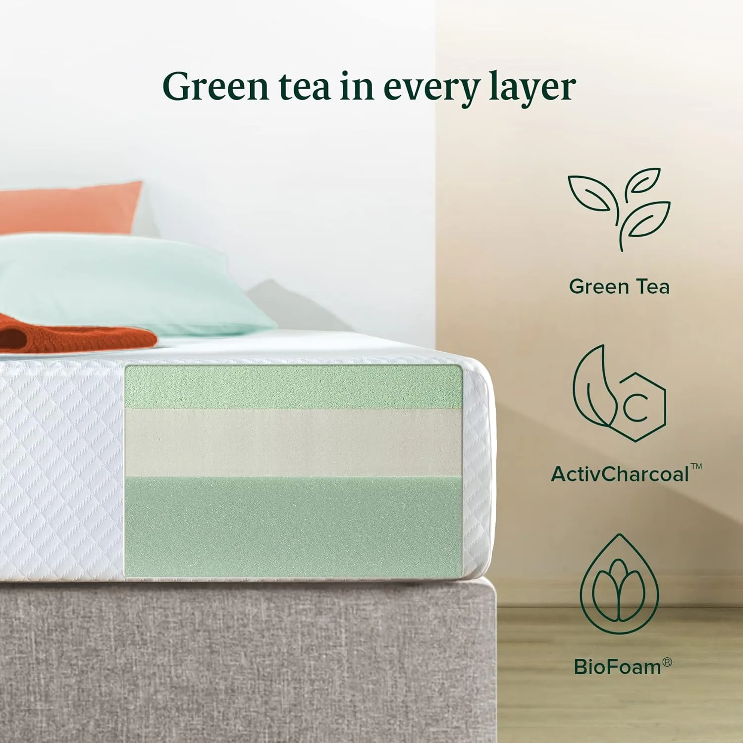 ZINUS 10 Inch Green Tea Arie Memory Foam Mattress, Queen, CertiPUR-US Certified, Mattress in A Box, Pressure Relieving, Made in USA